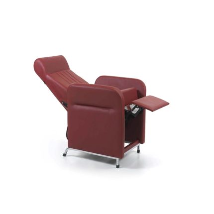 Ergonomic Companion Armchair